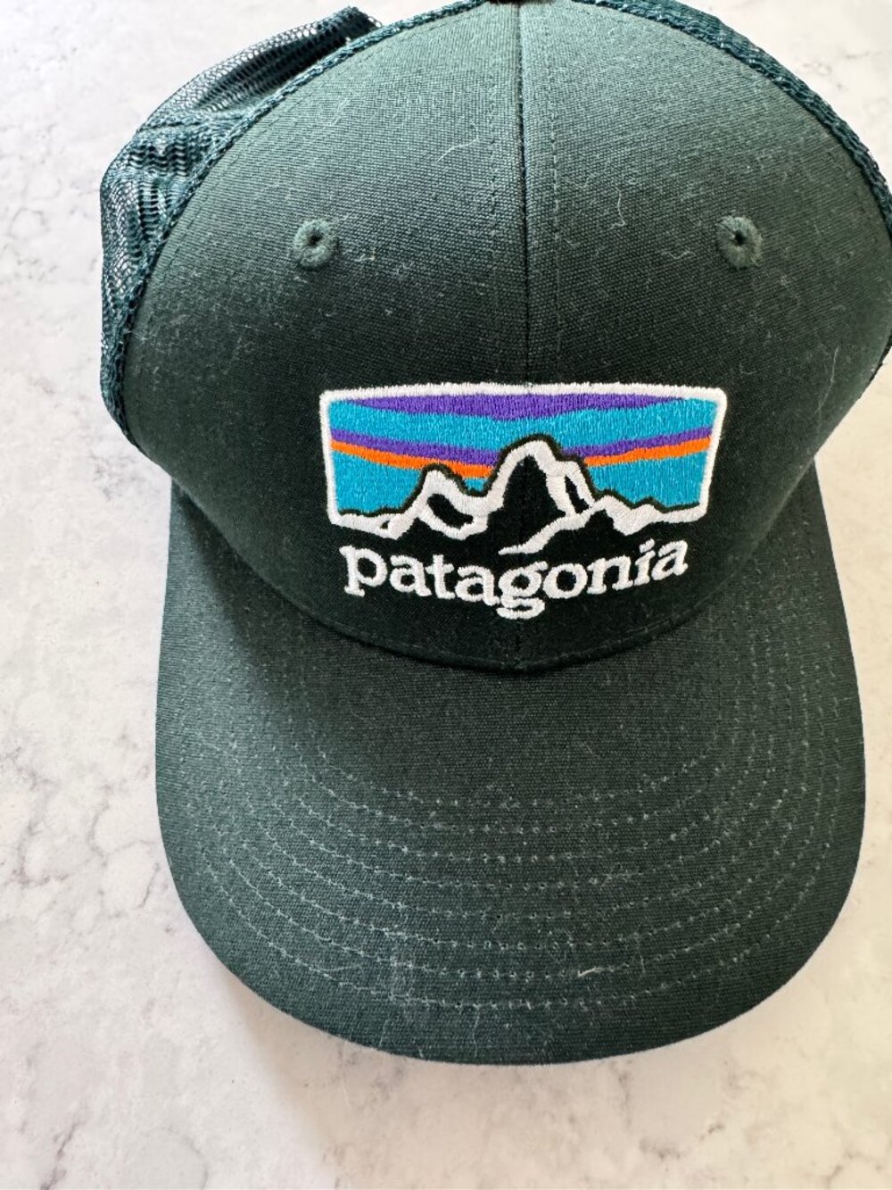 Patagonia trucker hat 🌲🏔️